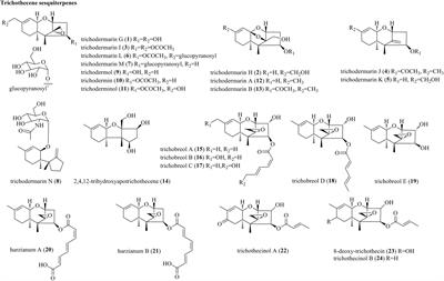 Trichoderma: A Treasure House of Structurally Diverse Secondary Metabolites With Medicinal Importance